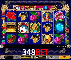 Descubra o Mundo do Cassino Online com 348bet